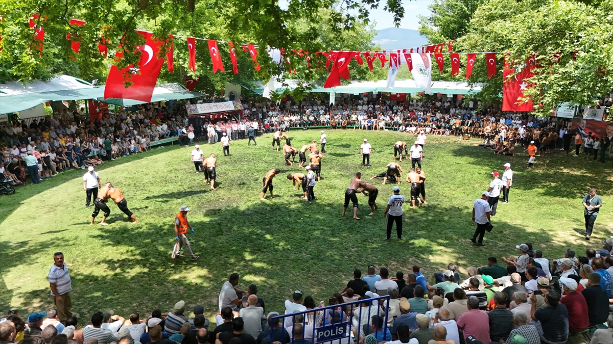 Menteşe Beşpınar Yağlı Güreşleri'nde başpehlivanlığı Erkan Taş kazandı 