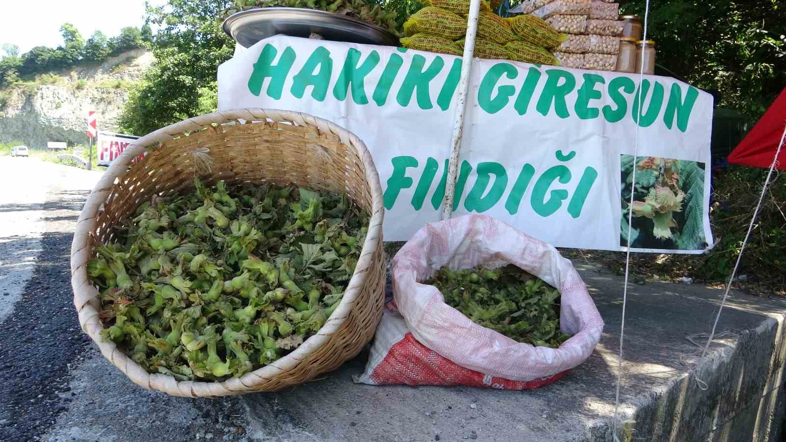 Giresun'da taze fındık sezonunun başlaması: Yeşil kabuk 200 TL'ye satılıyor