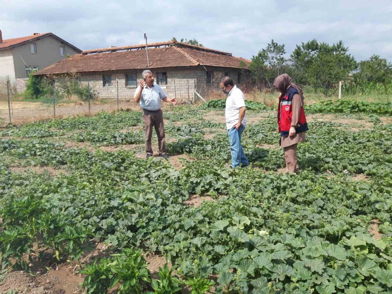 Tavşanlı'da tarım arazilerinde hastalık ve zararlı denetimi başladı